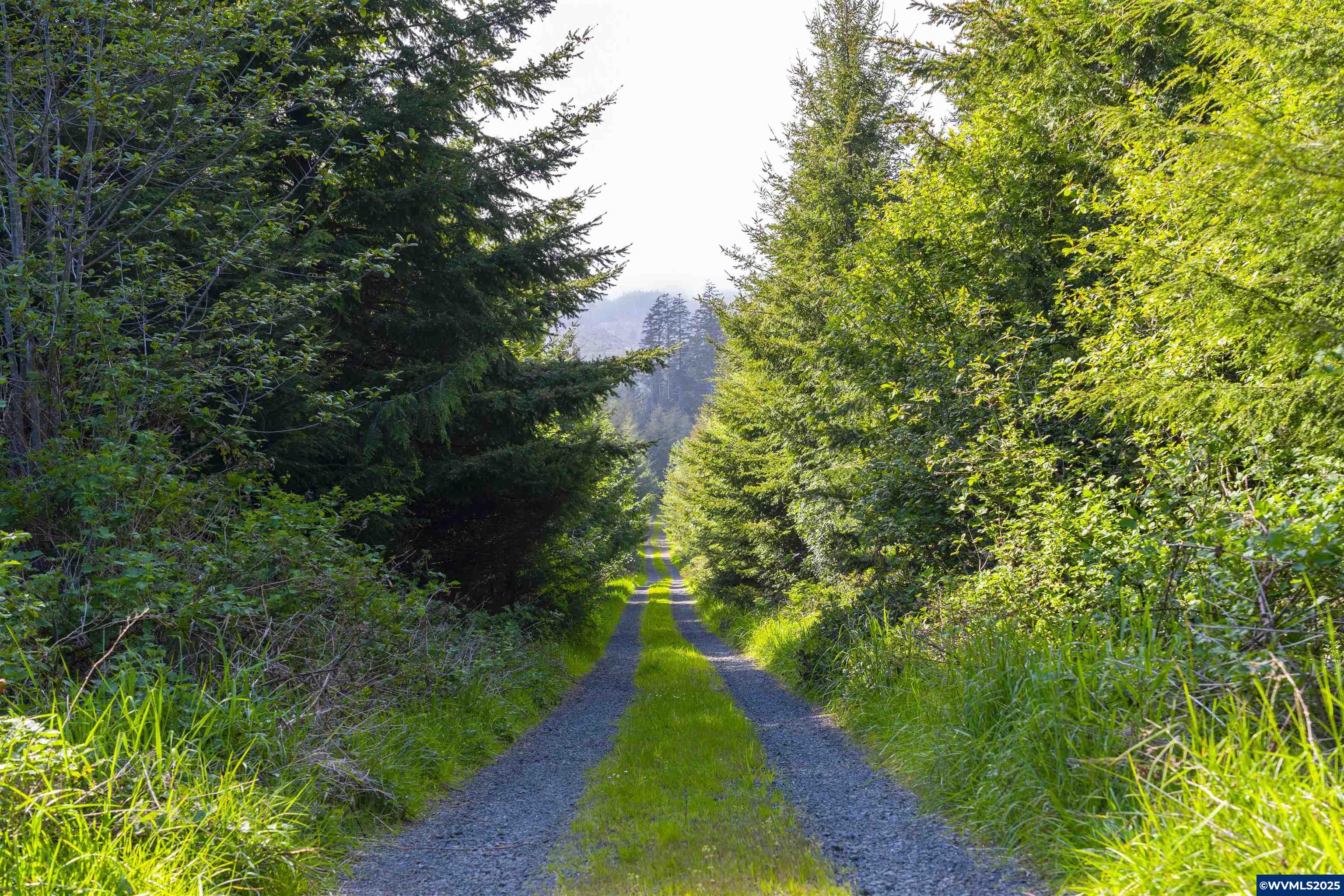 0 South Elmer Miller Road Lincoln City, OR 97367 - Photo 15 of 23