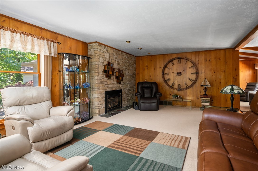 685 Sunnyside Road Vermilion, OH 44089 - Photo 7 of 50 Living area featuring a stone-clad fireplace, wood-paneled walls, and a large window