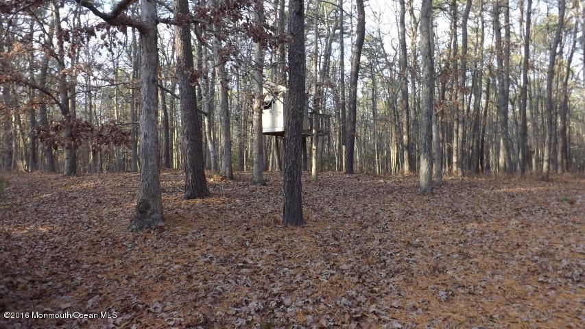 428 Stage Road Little Egg Harbor, NJ 08087 - Photo 12 of 12 12