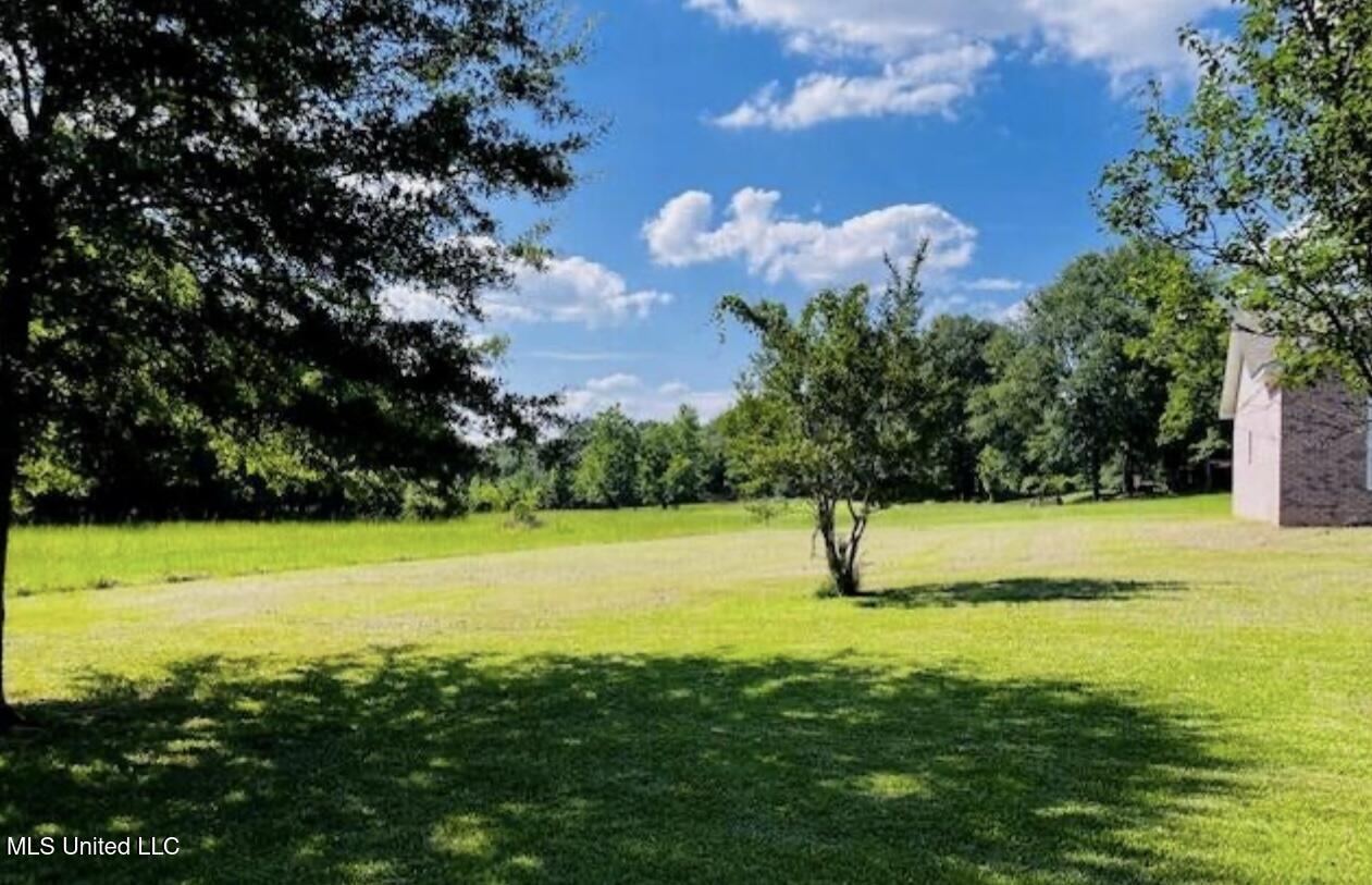 3617 Kennebrew Road Jackson, MS 39209 - Photo 26 of 29 Side yard