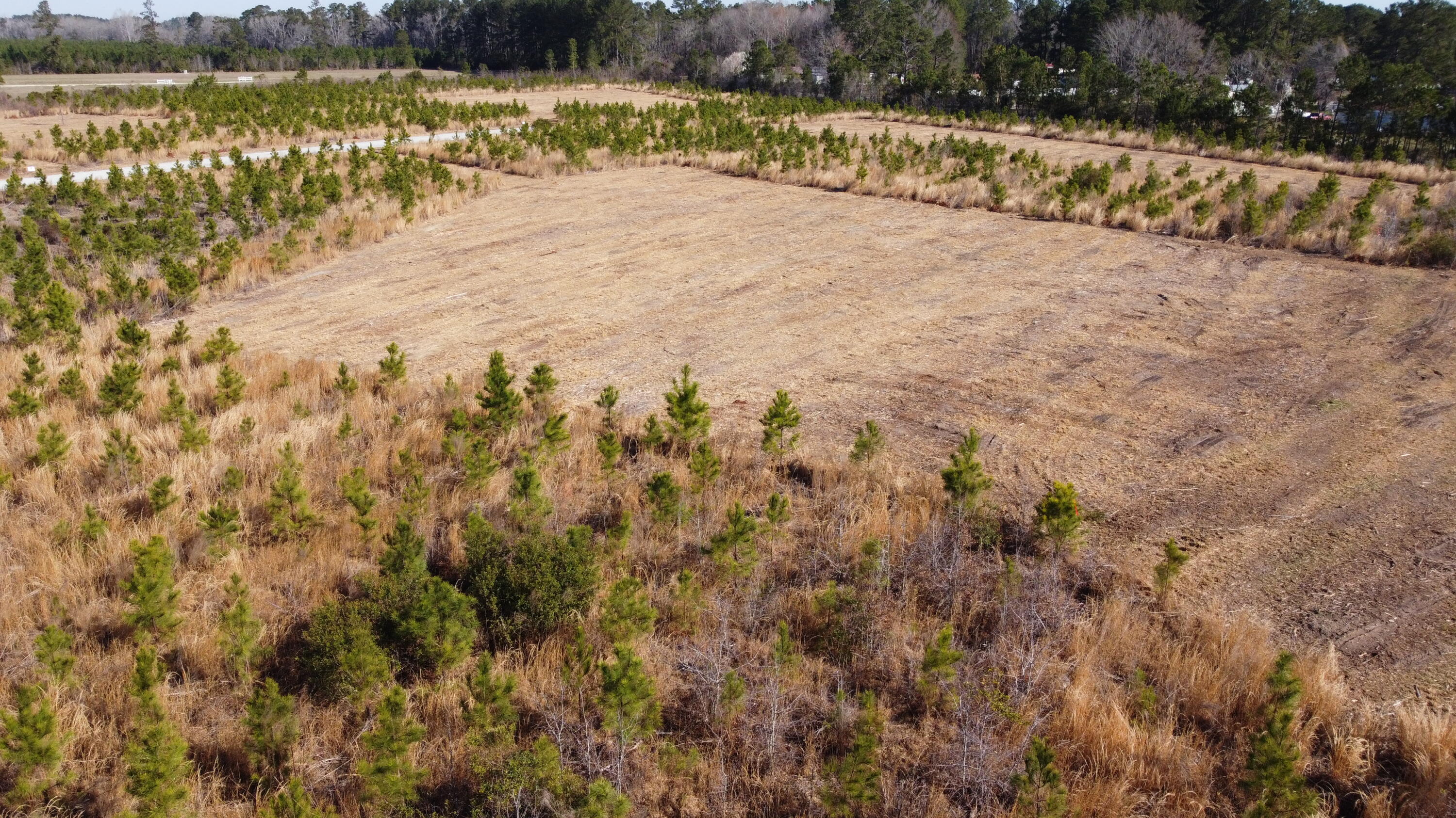 8 Highway 6 Cross, SC 29436 - Photo 7 of 9 DJI_0173
