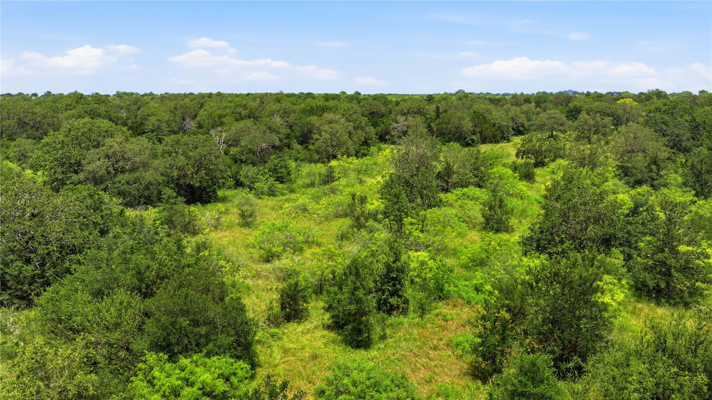 10312 Parsons Road Manor, TX 78653 - Photo 25 of 26 Vast, verdant acreage offers a private, natural setting for your future estate.