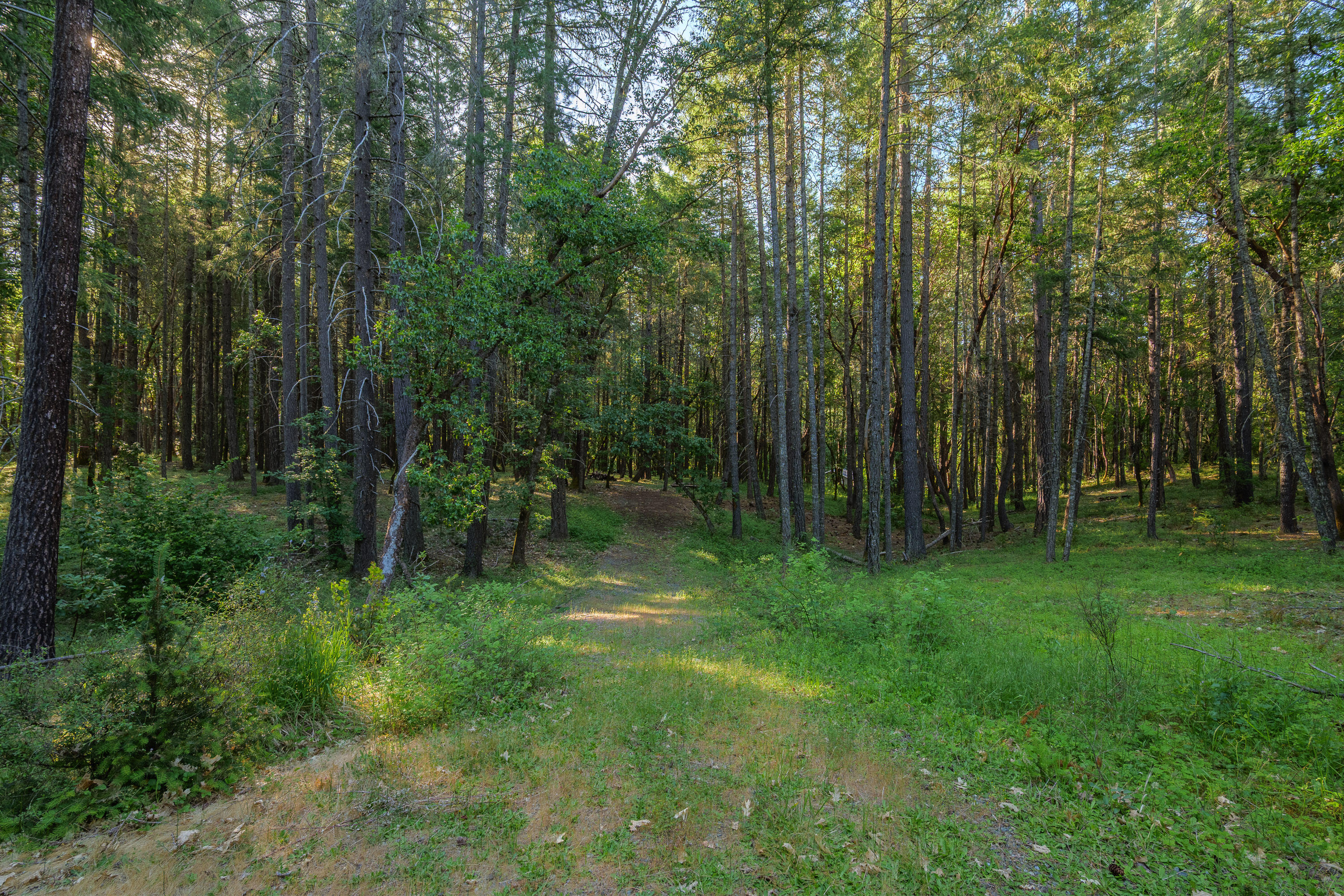 355 Firview Lane Wilderville, OR 97543 - Photo 4 of 12 355FirviewLn-001