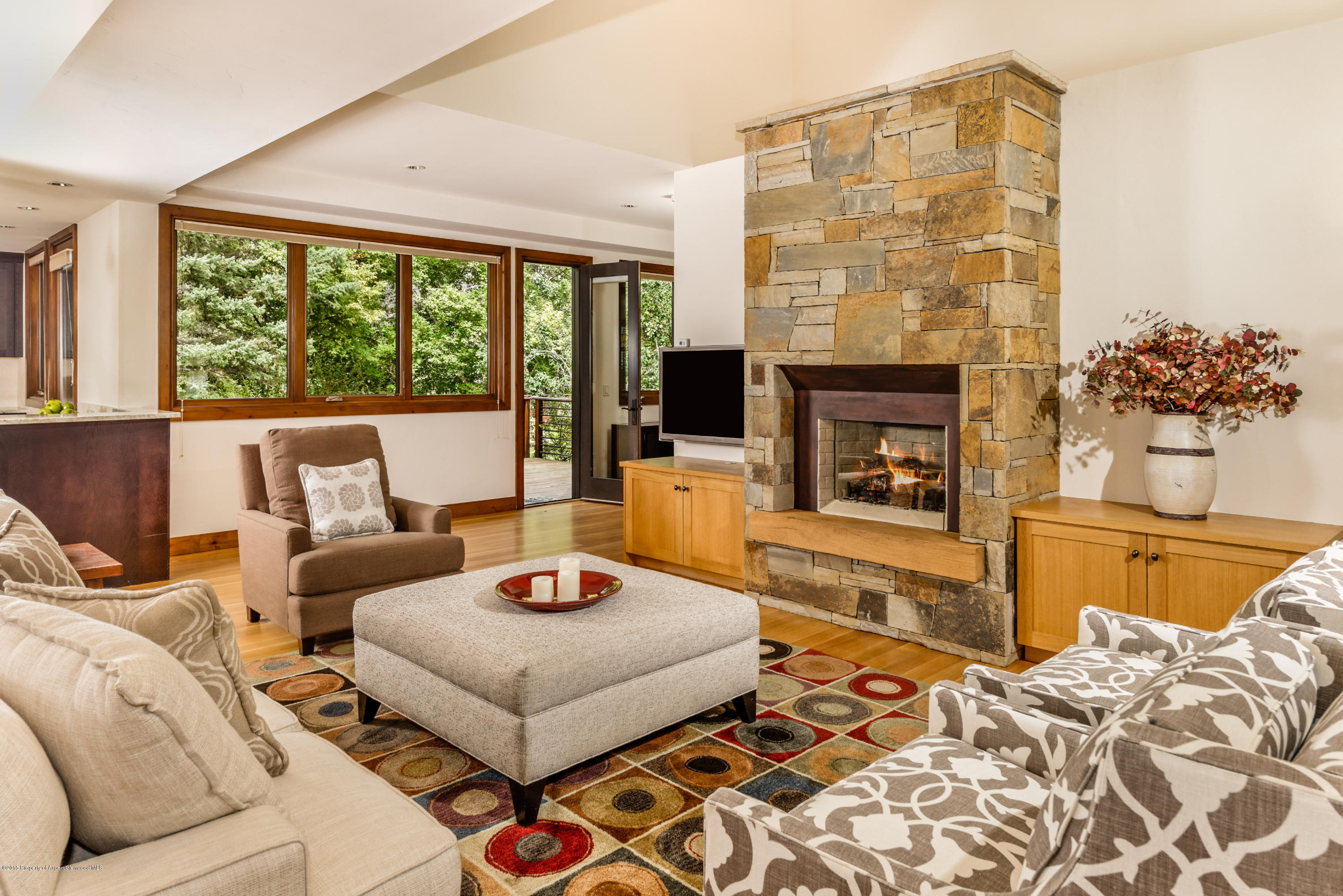 360 Riverside Drive Basalt, CO 81621 - Photo 4 of 29 a living room with furniture and a fireplace