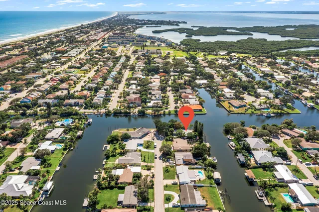 a view of a garden with plants
