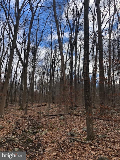 0 Camp Green Lane Road Green Lane, PA 18054 - Photo 1 of 6 Gallery Image 1