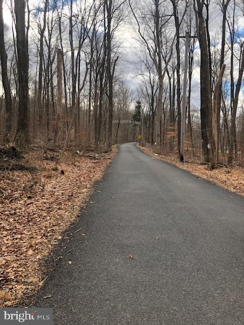 0 Camp Green Lane Road Green Lane, PA 18054 - Photo 2 of 6 Gallery Image 2