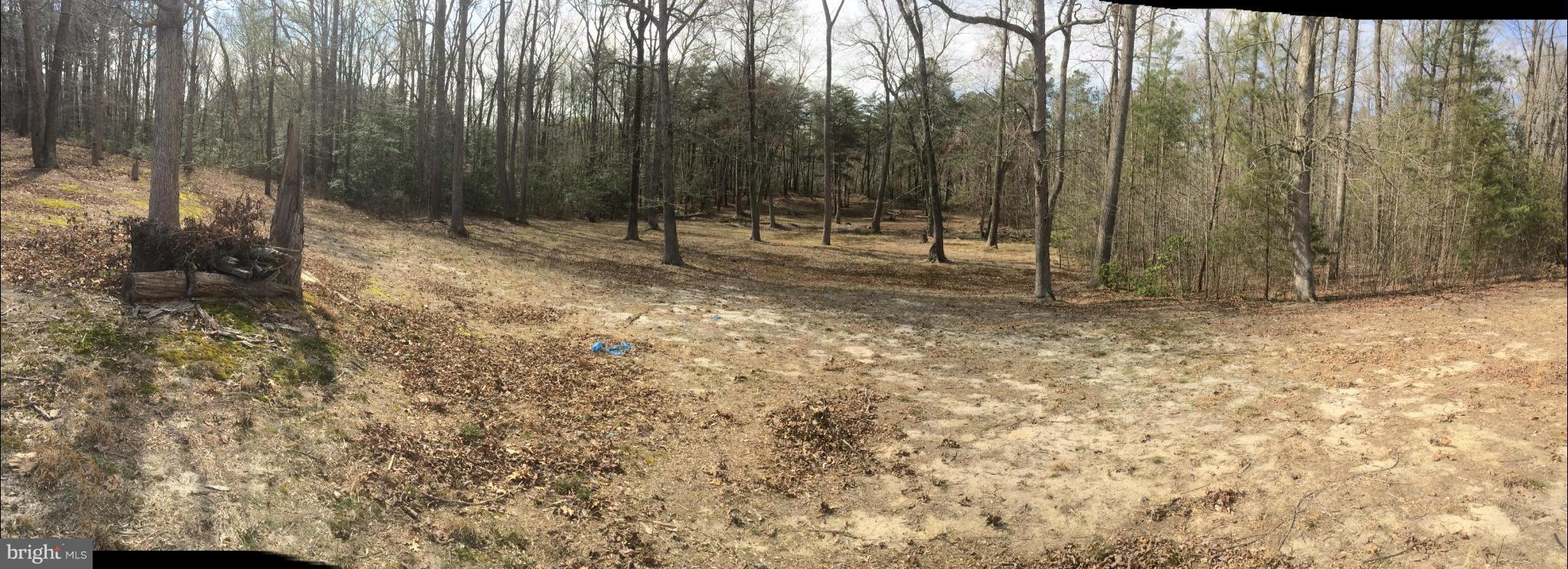 12656 Porters Landing Road Greensboro, MD 21639 - Photo 12 of 25 View