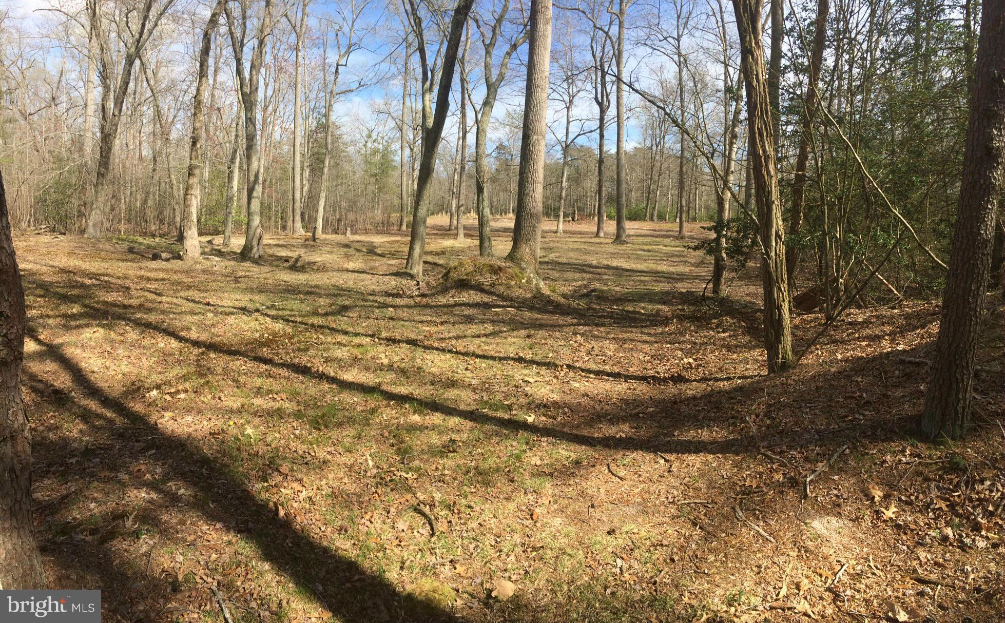 12656 Porters Landing Road Greensboro, MD 21639 - Photo 8 of 25 View