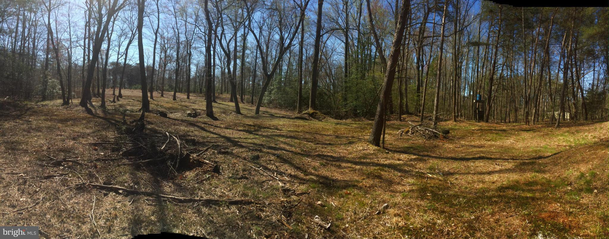 12656 Porters Landing Road Greensboro, MD 21639 - Photo 10 of 25 View