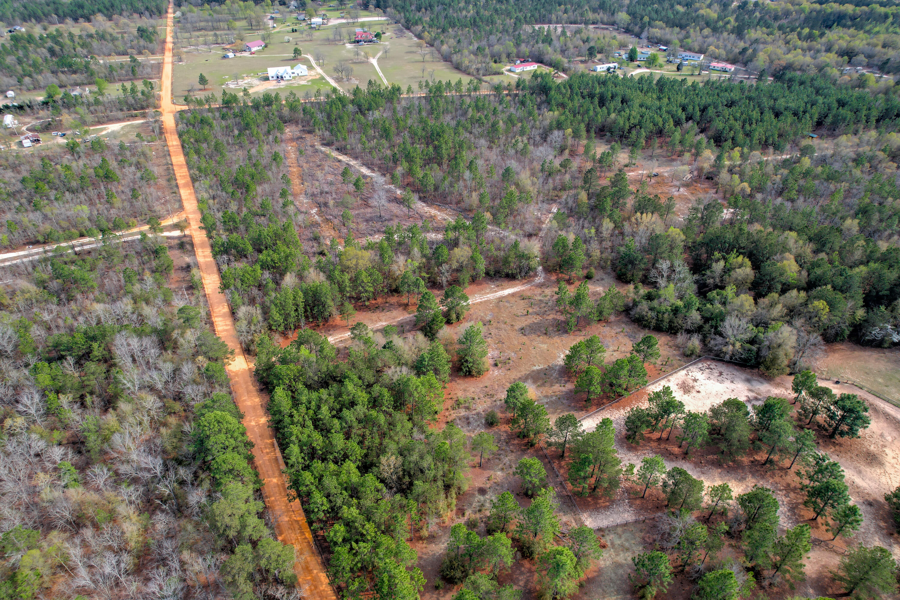 11-acres North 11-acres N Windsor Road Windsor, SC 29856 - Photo 5 of 16