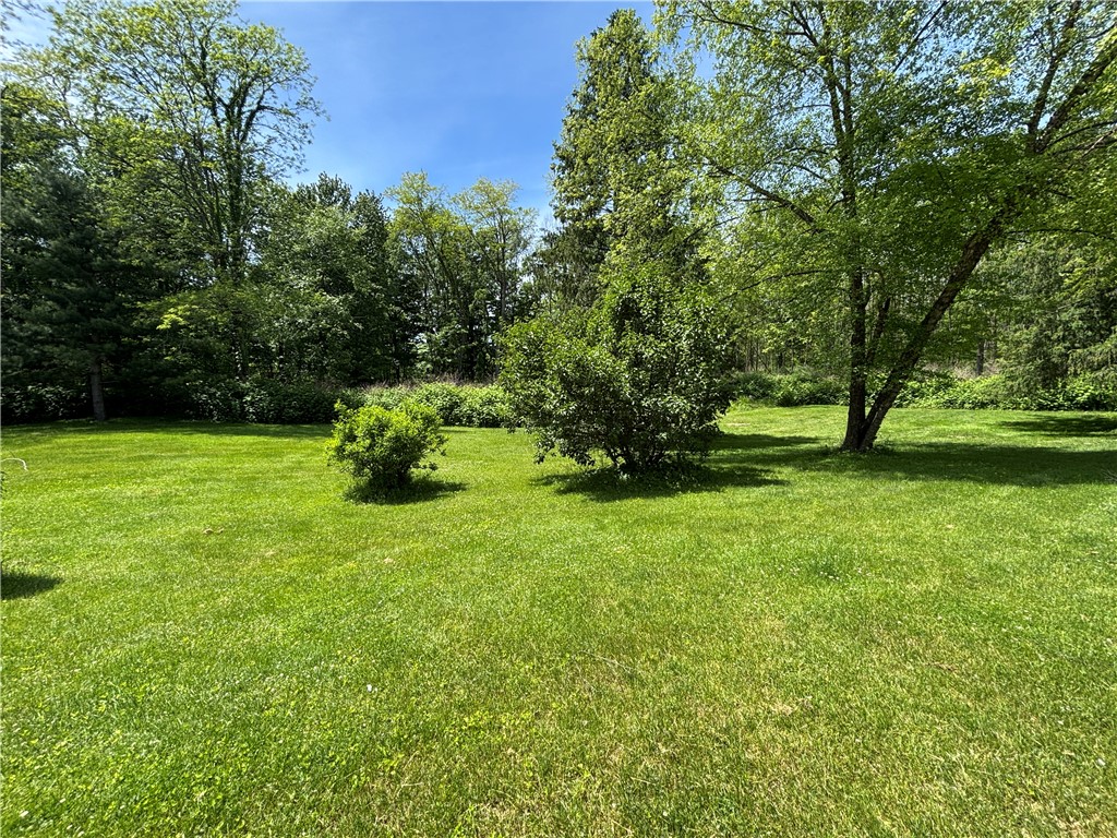2901 Cambier Road Newark, NY 14513 - Photo 37 of 41