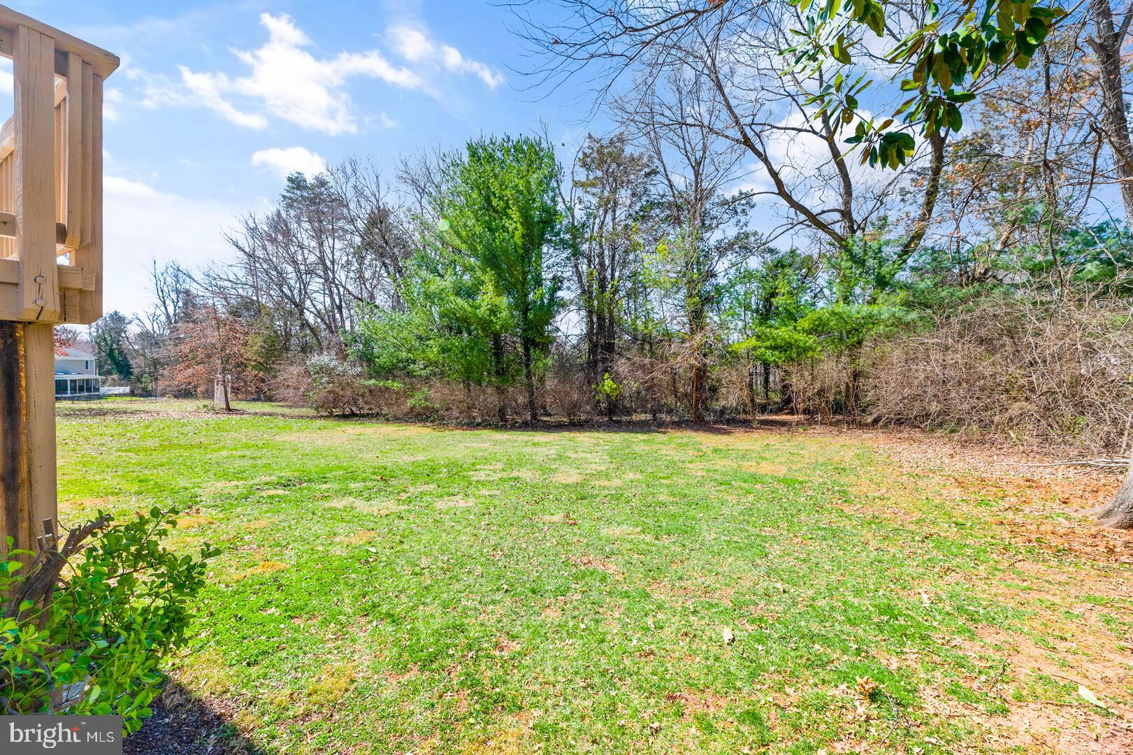 157 Peyton Road Sterling, VA 20165 - Photo 40 of 46 Backyard