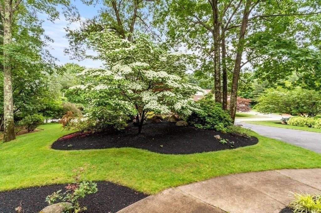 23 Sentry Hill Road Sharon, MA 02067 - Photo 3 of 39 Gallery Image 3