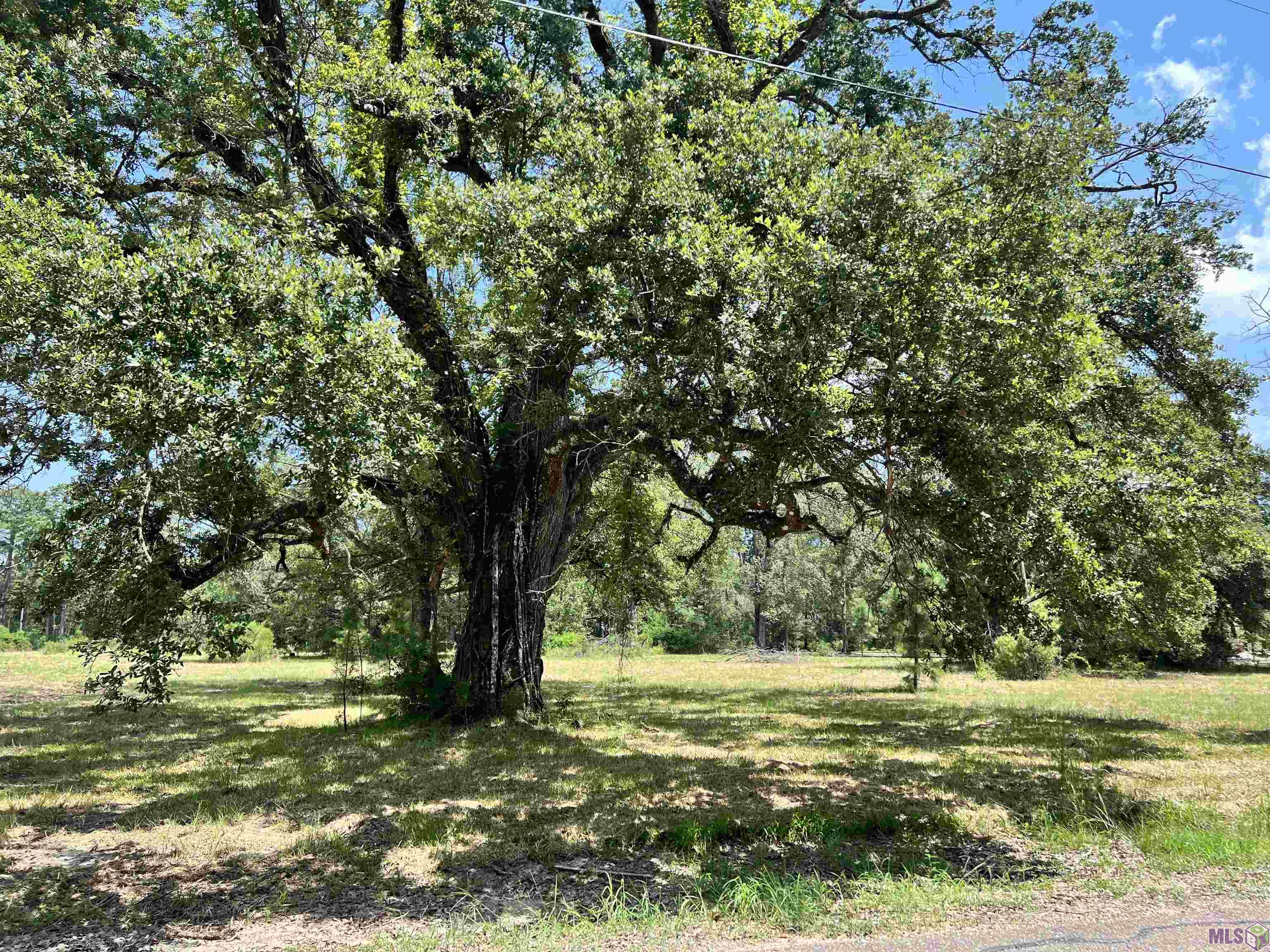 27516 Patterson Road Springfield, LA 70462 - Photo 1 of 6 Gallery Image 1
