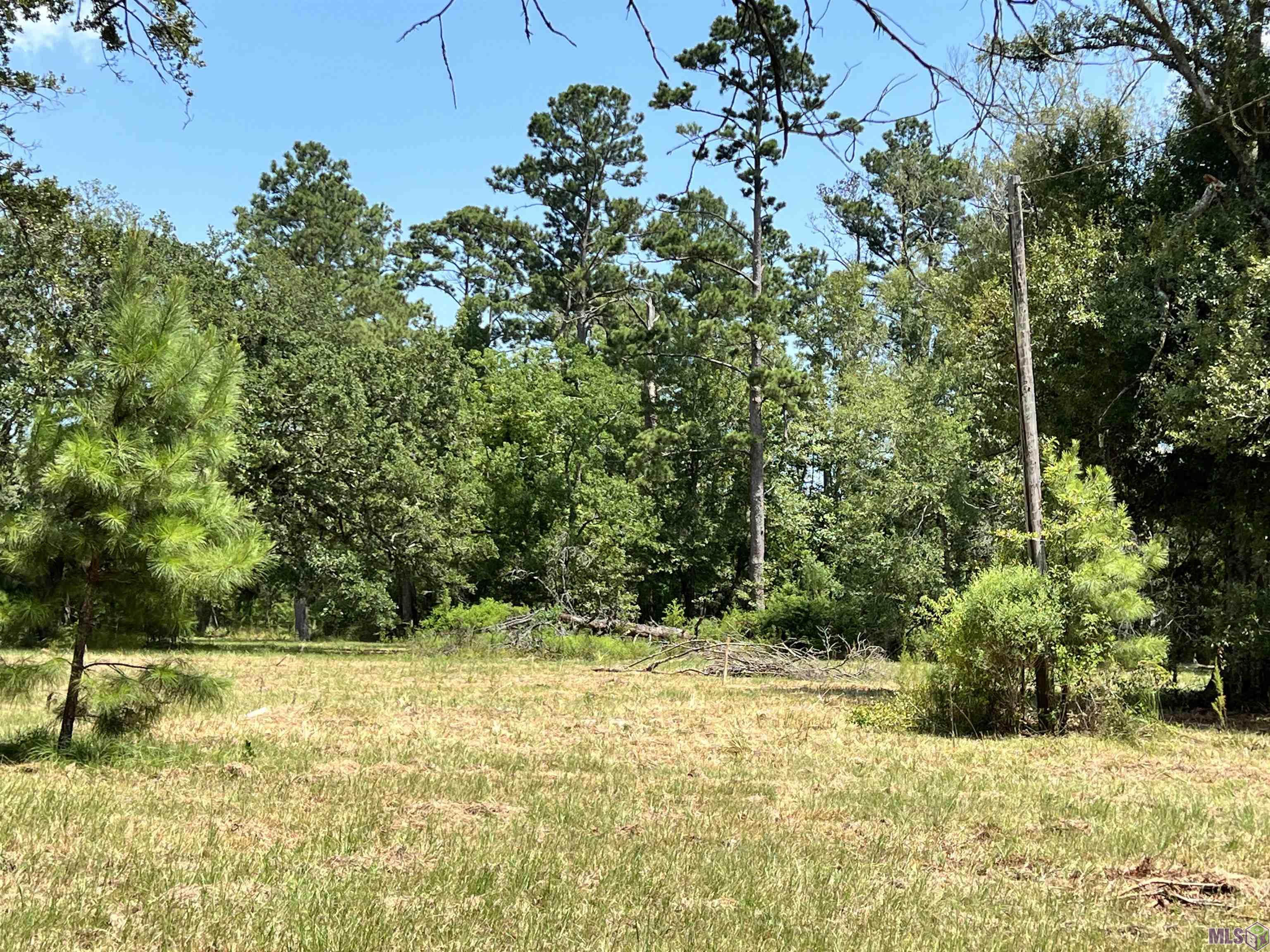 27516 Patterson Road Springfield, LA 70462 - Photo 4 of 6 Gallery Image 4