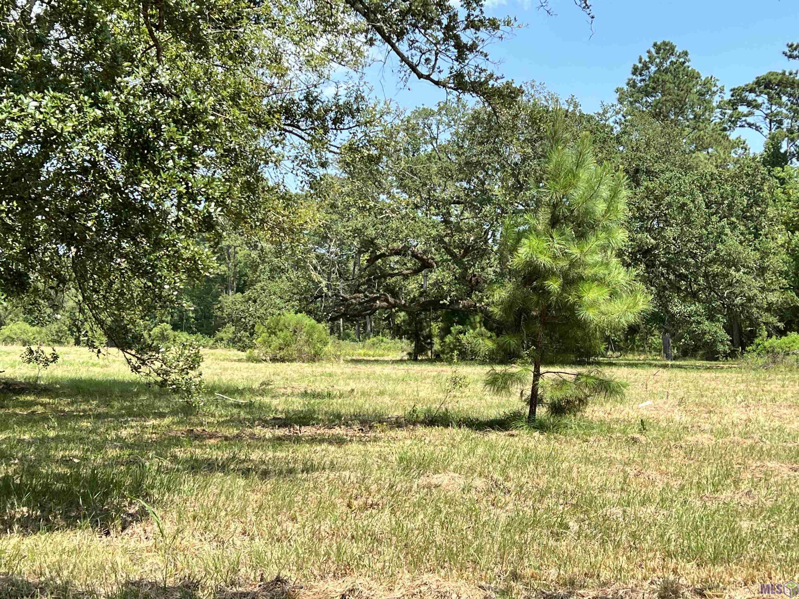 27516 Patterson Road Springfield, LA 70462 - Photo 5 of 6 Gallery Image 5