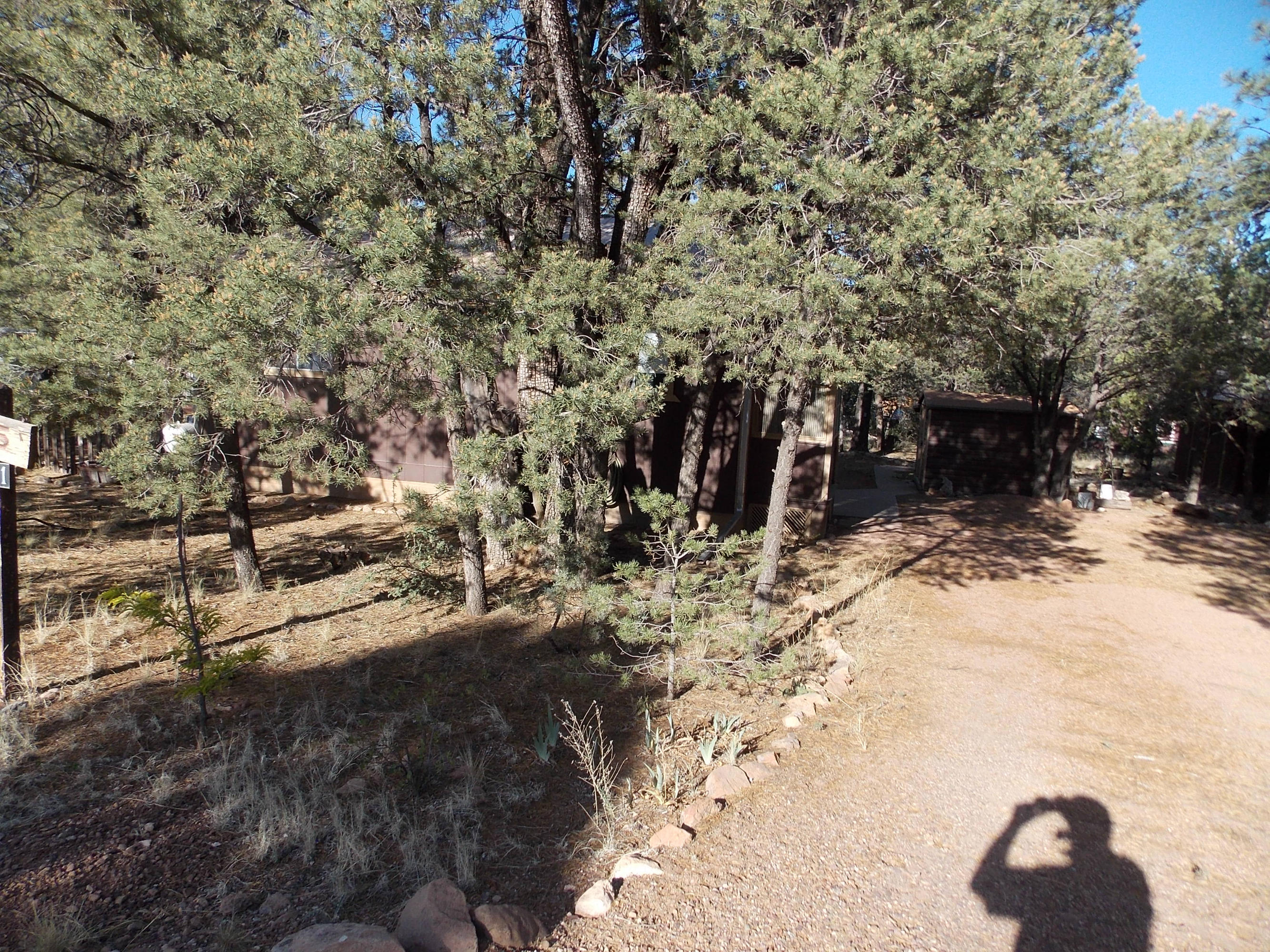 2971 Hunters Road Overgaard, AZ 85933 - Photo 8 of 12