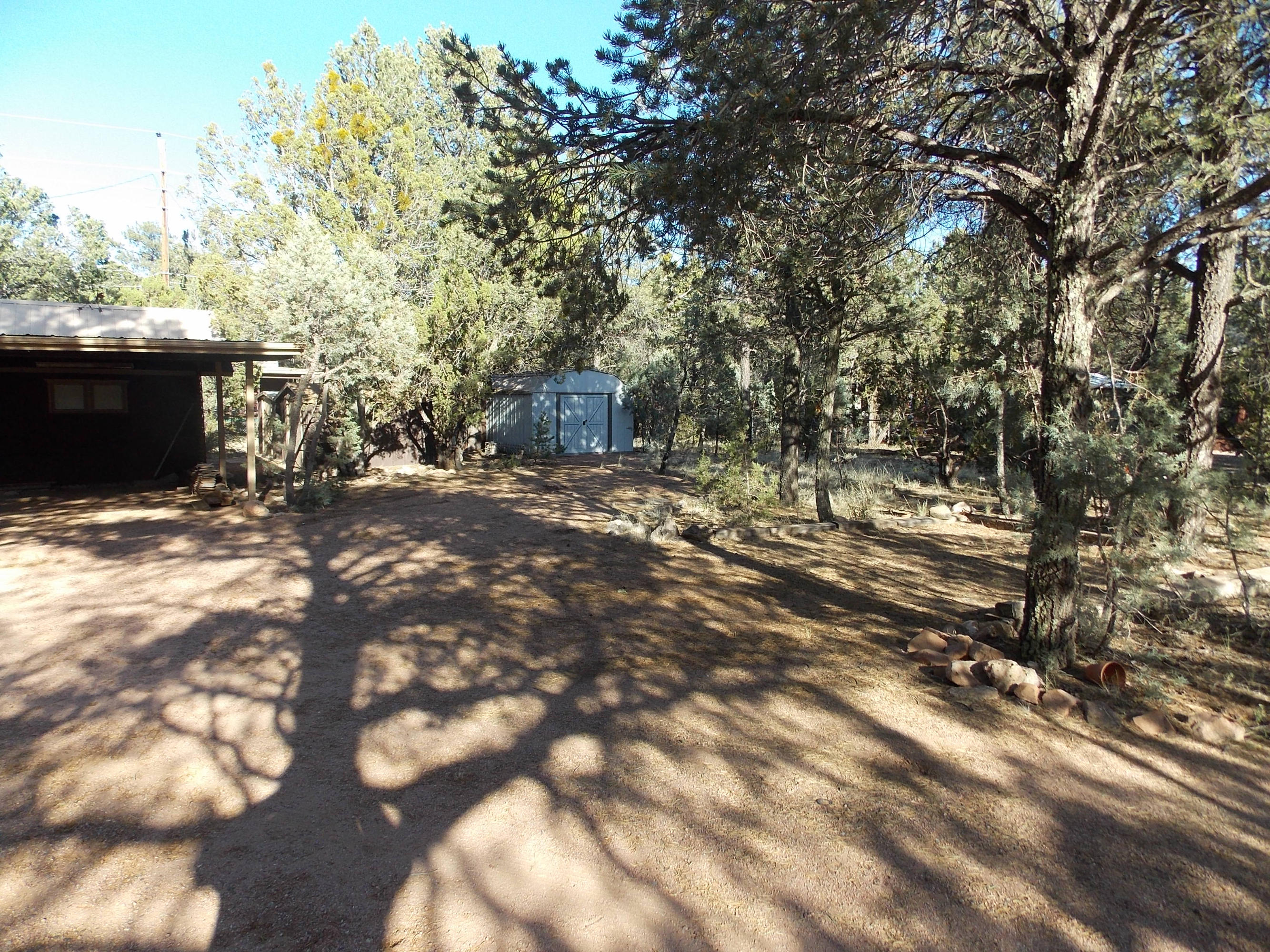 2971 Hunters Road Overgaard, AZ 85933 - Photo 10 of 12