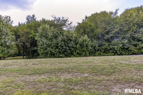 $44,900 | 401 Ramblewood Road, Chatham, IL 62629