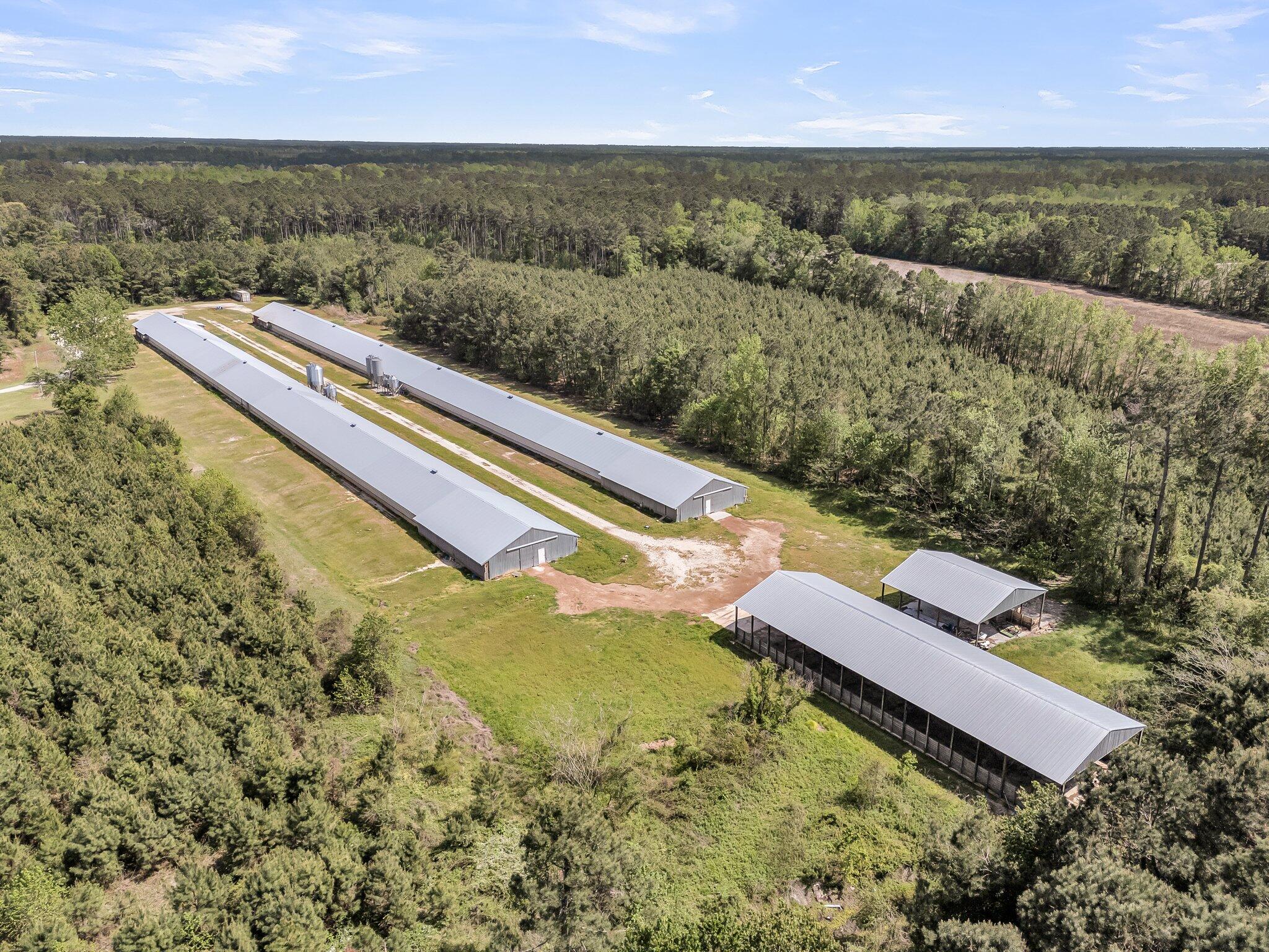 152 Traxler Road St. George, SC 29477 - Photo 13 of 66 CREM - 152 Traxler Rd-13