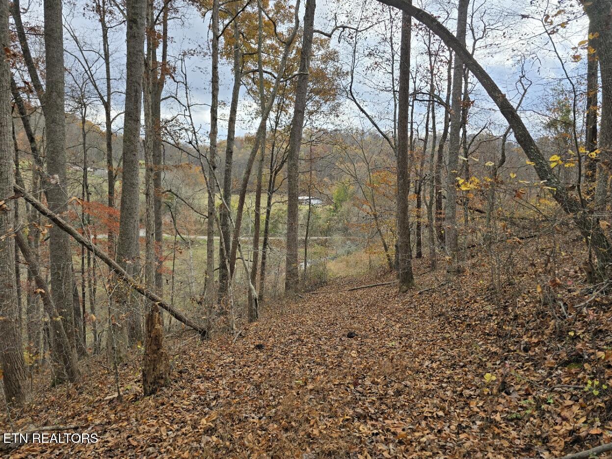 3263 Trents Chapel Road Sneedville, TN 37869 - Photo 11 of 35 20251109_124518