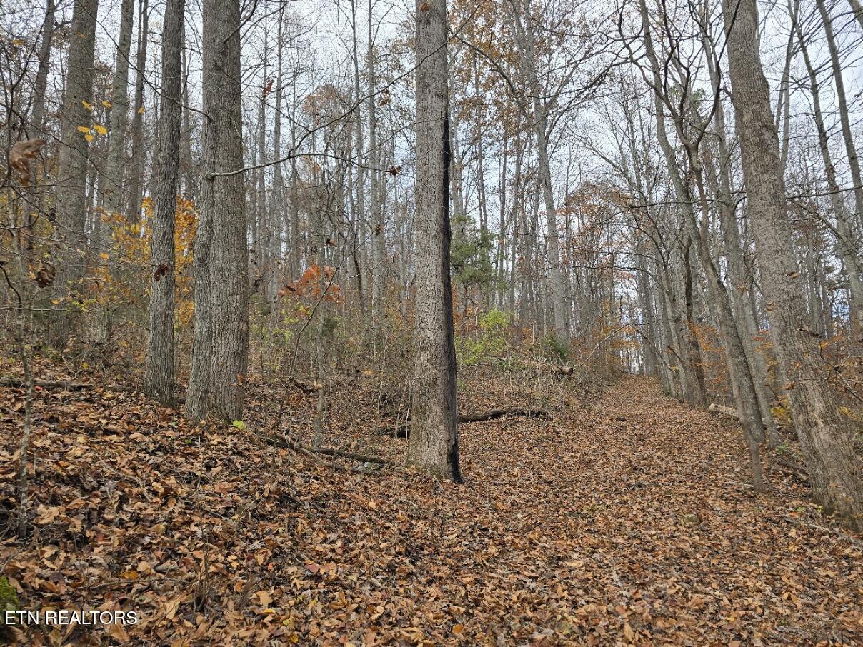 3263 Trents Chapel Road Sneedville, TN 37869 - Photo 12 of 35 20251109_124512