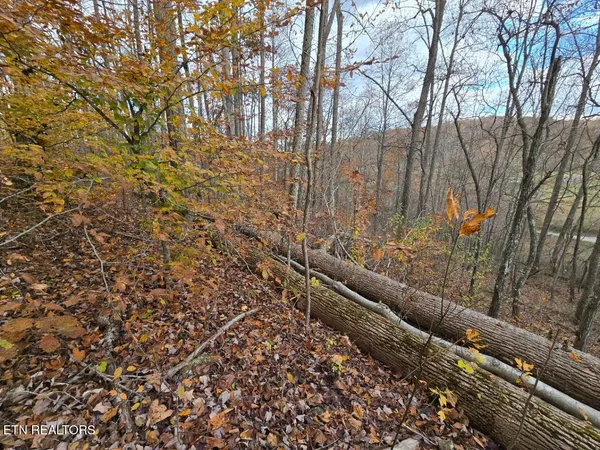 $205,000 | 3263 Trents Chapel Road, Sneedville, TN 37869