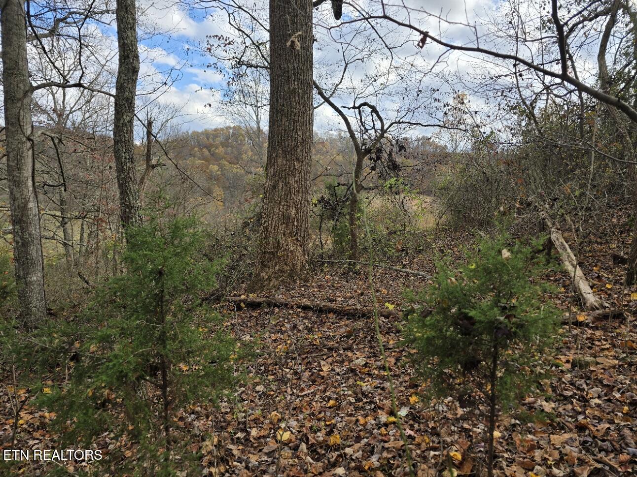 3263 Trents Chapel Road Sneedville, TN 37869 - Photo 16 of 35 20251109_142054