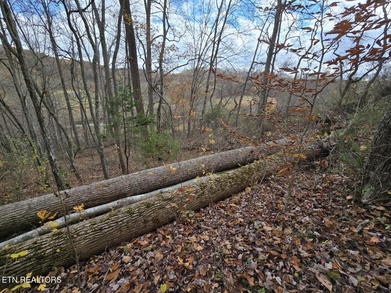 3263 Trents Chapel Road Sneedville, TN 37869 - Photo 19 of 35 20251109_141552