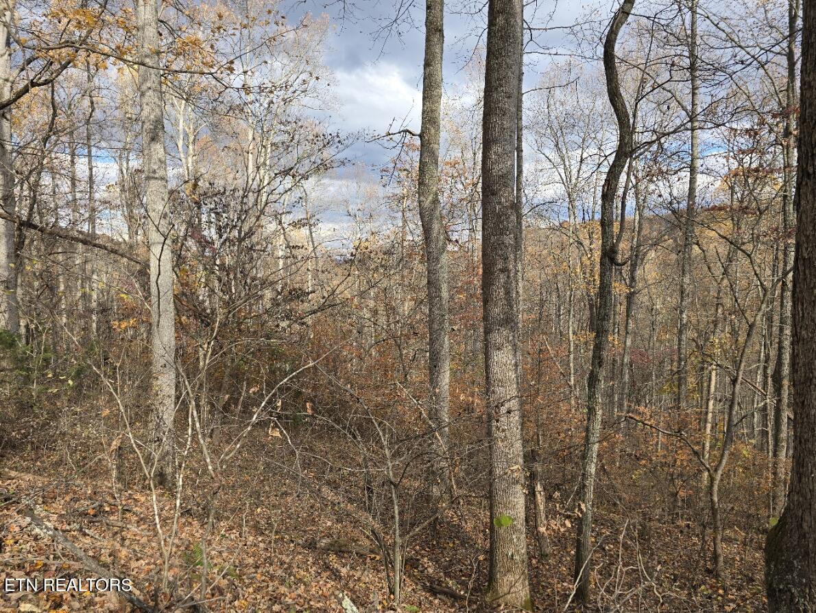 3263 Trents Chapel Road Sneedville, TN 37869 - Photo 20 of 35 20251109_141014