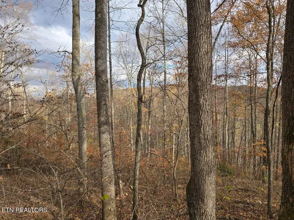 $205,000 | 3263 Trents Chapel Road, Sneedville, TN 37869