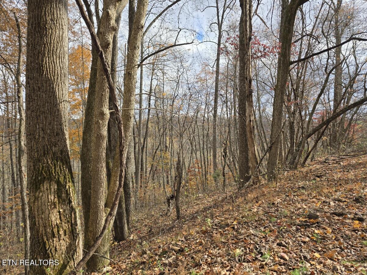 3263 Trents Chapel Road Sneedville, TN 37869 - Photo 22 of 35 20251109_141018