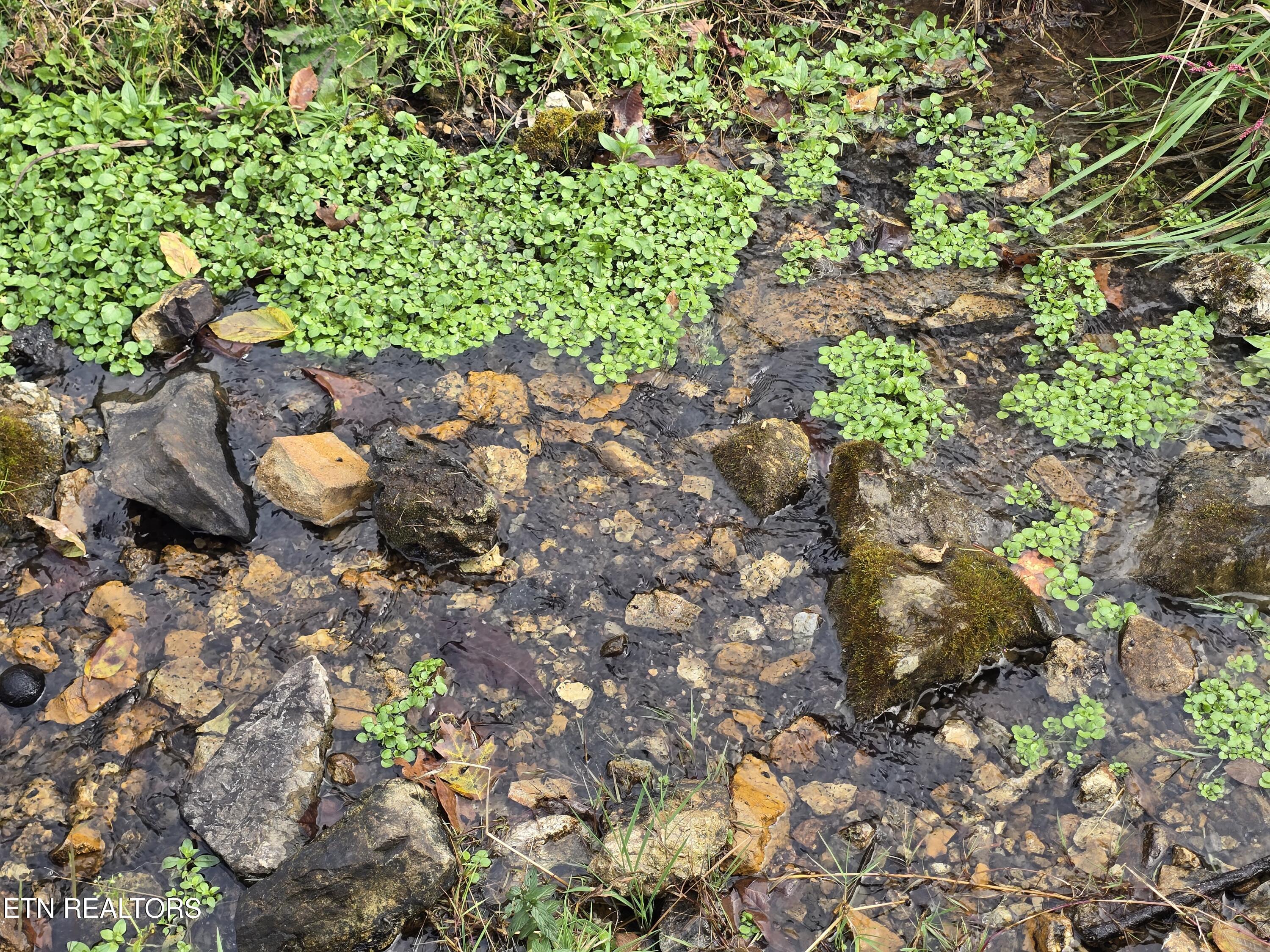 3263 Trents Chapel Road Sneedville, TN 37869 - Photo 23 of 35 20251101_150827