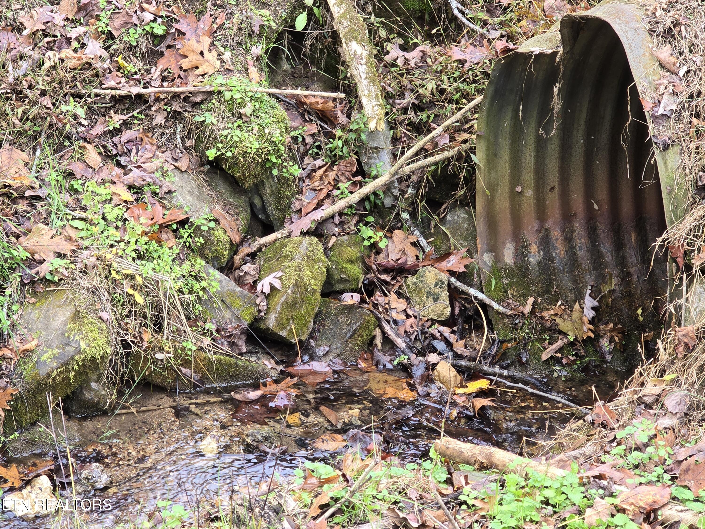 3263 Trents Chapel Road Sneedville, TN 37869 - Photo 24 of 35 20251101_150608