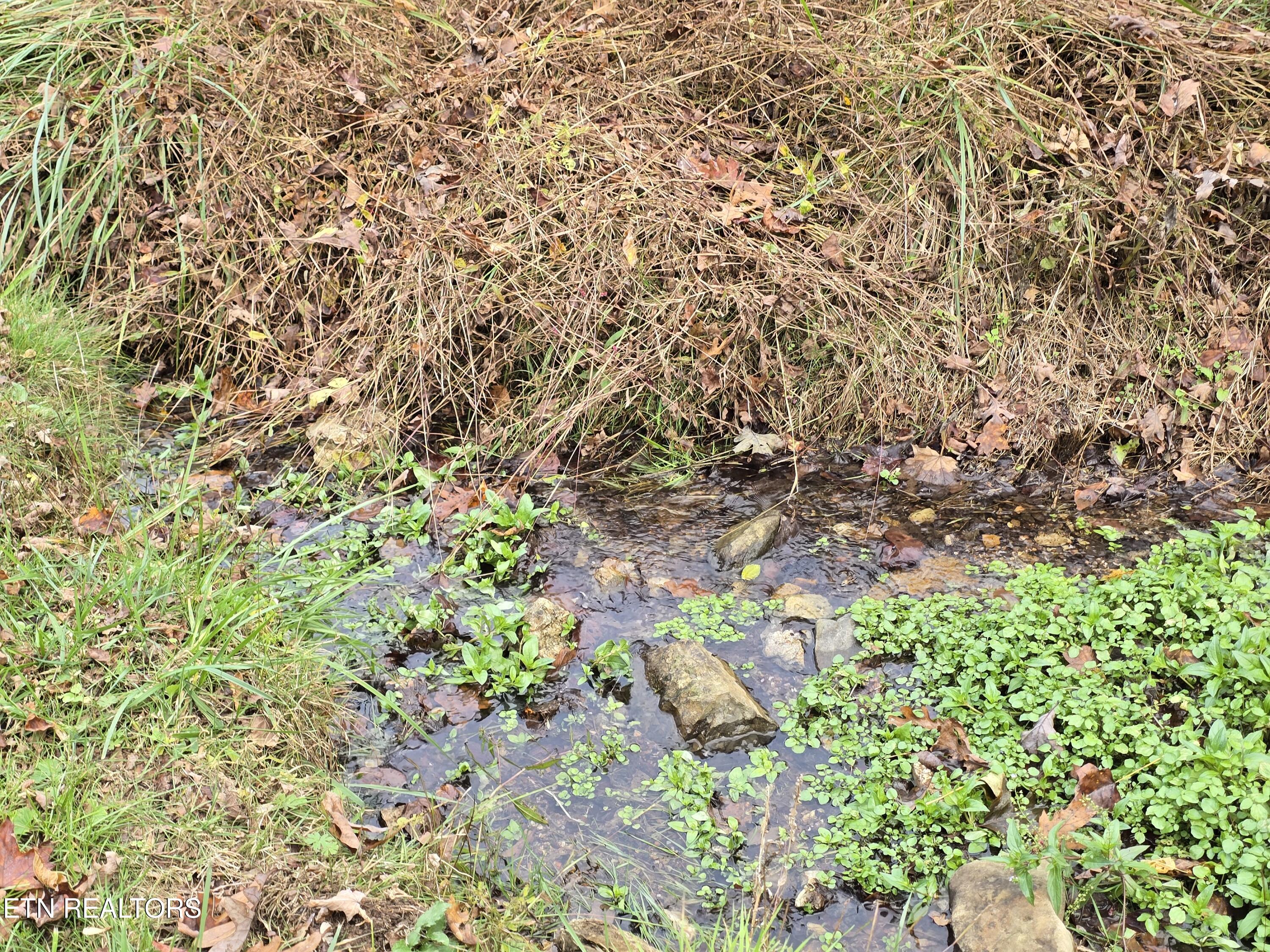 3263 Trents Chapel Road Sneedville, TN 37869 - Photo 29 of 35 20251101_150752