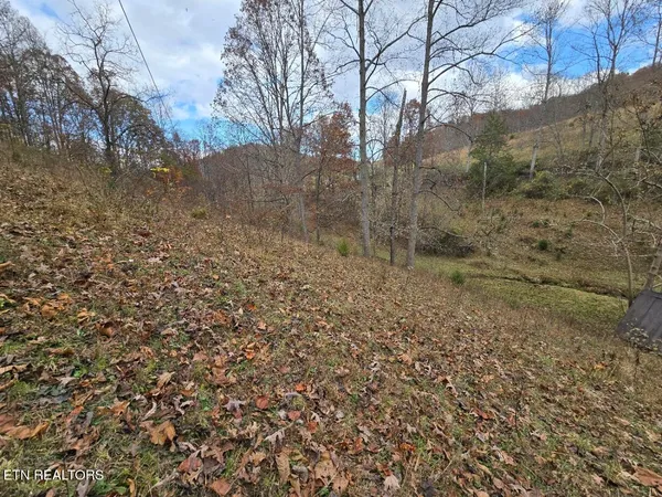 $205,000 | 3263 Trents Chapel Road, Sneedville, TN 37869