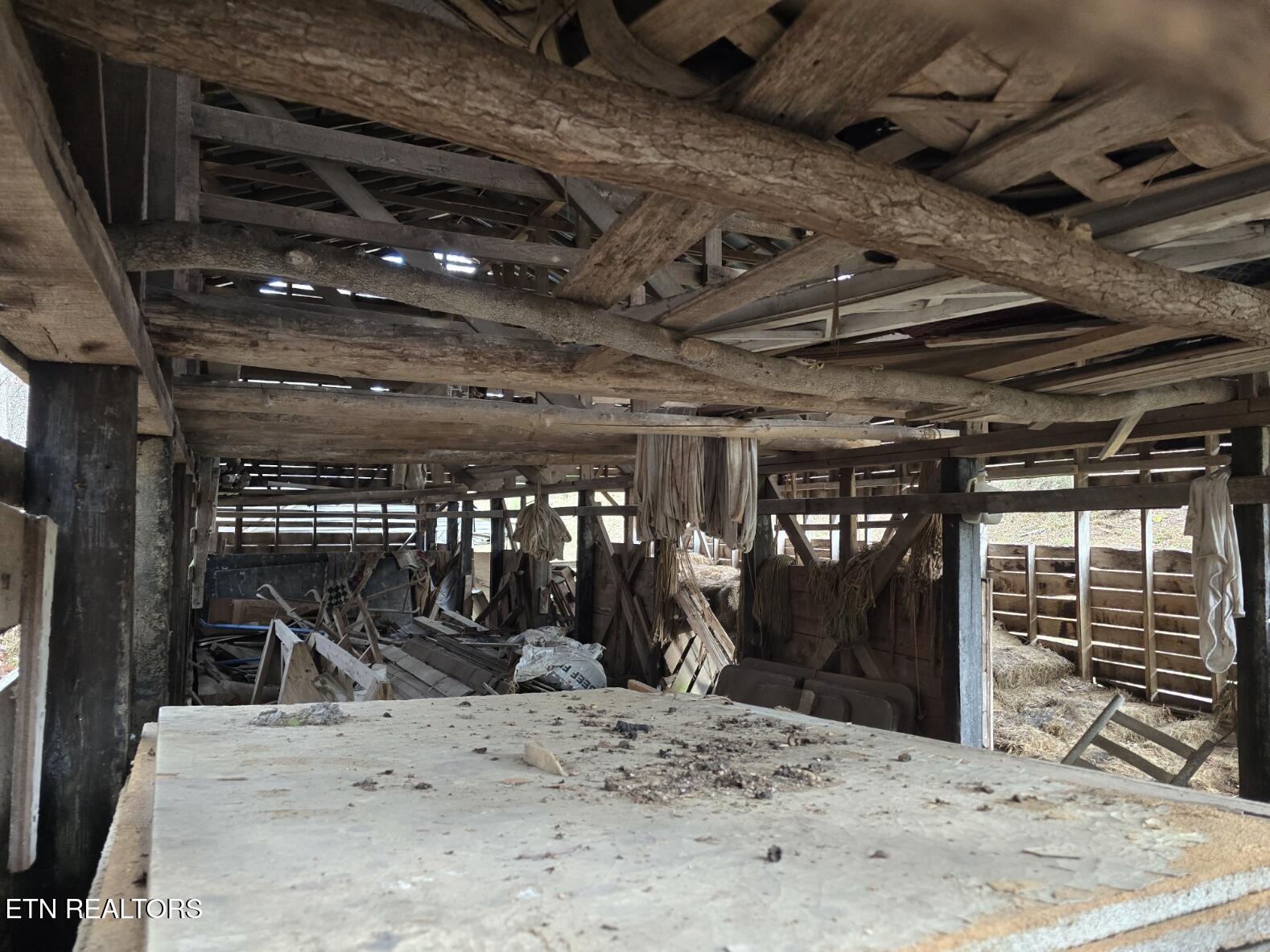 3263 Trents Chapel Road Sneedville, TN 37869 - Photo 34 of 35 20251109_123705