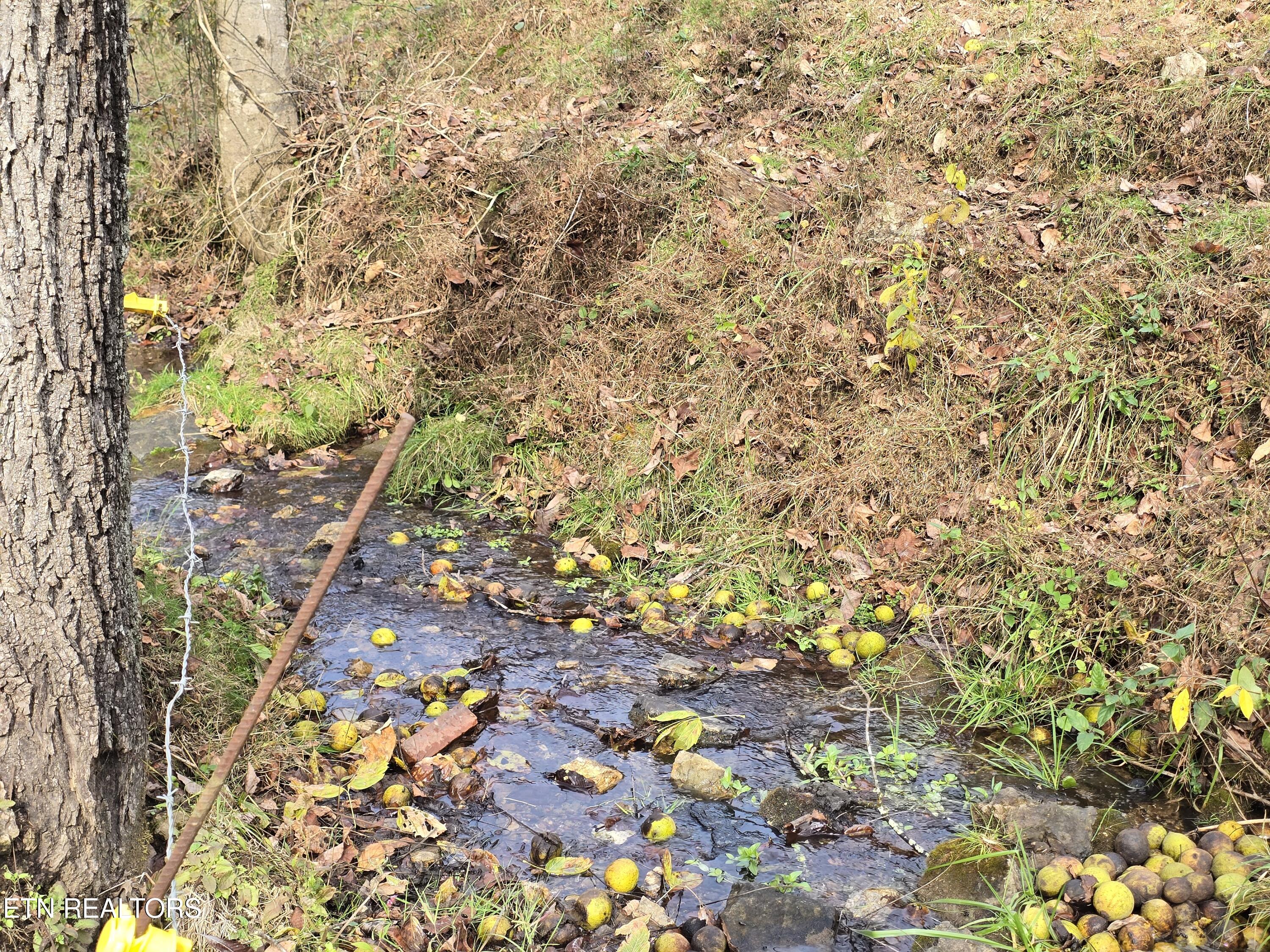 3263 Trents Chapel Road Sneedville, TN 37869 - Photo 5 of 35 20251101_150909