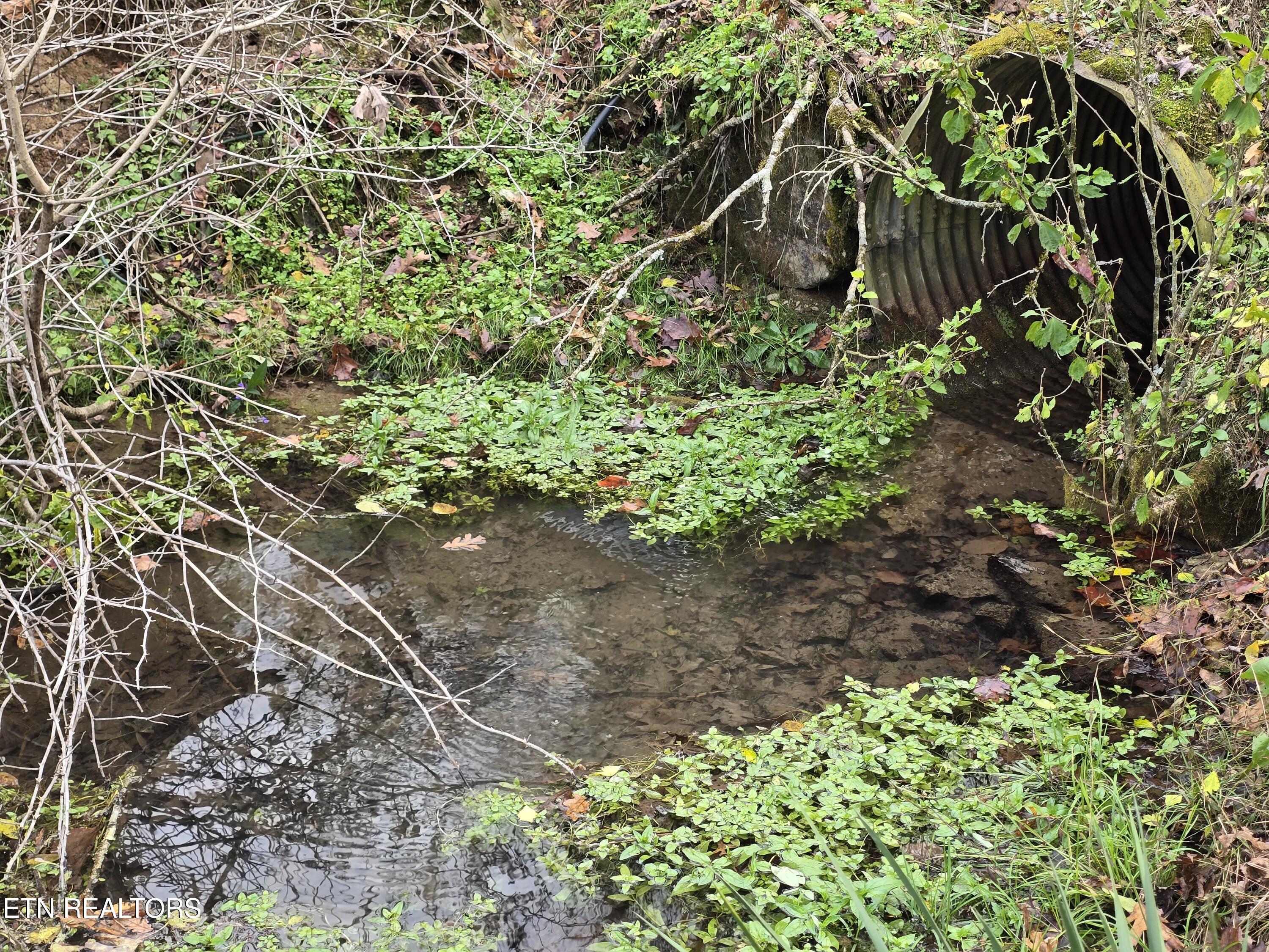 3263 Trents Chapel Road Sneedville, TN 37869 - Photo 6 of 35 20251101_150743