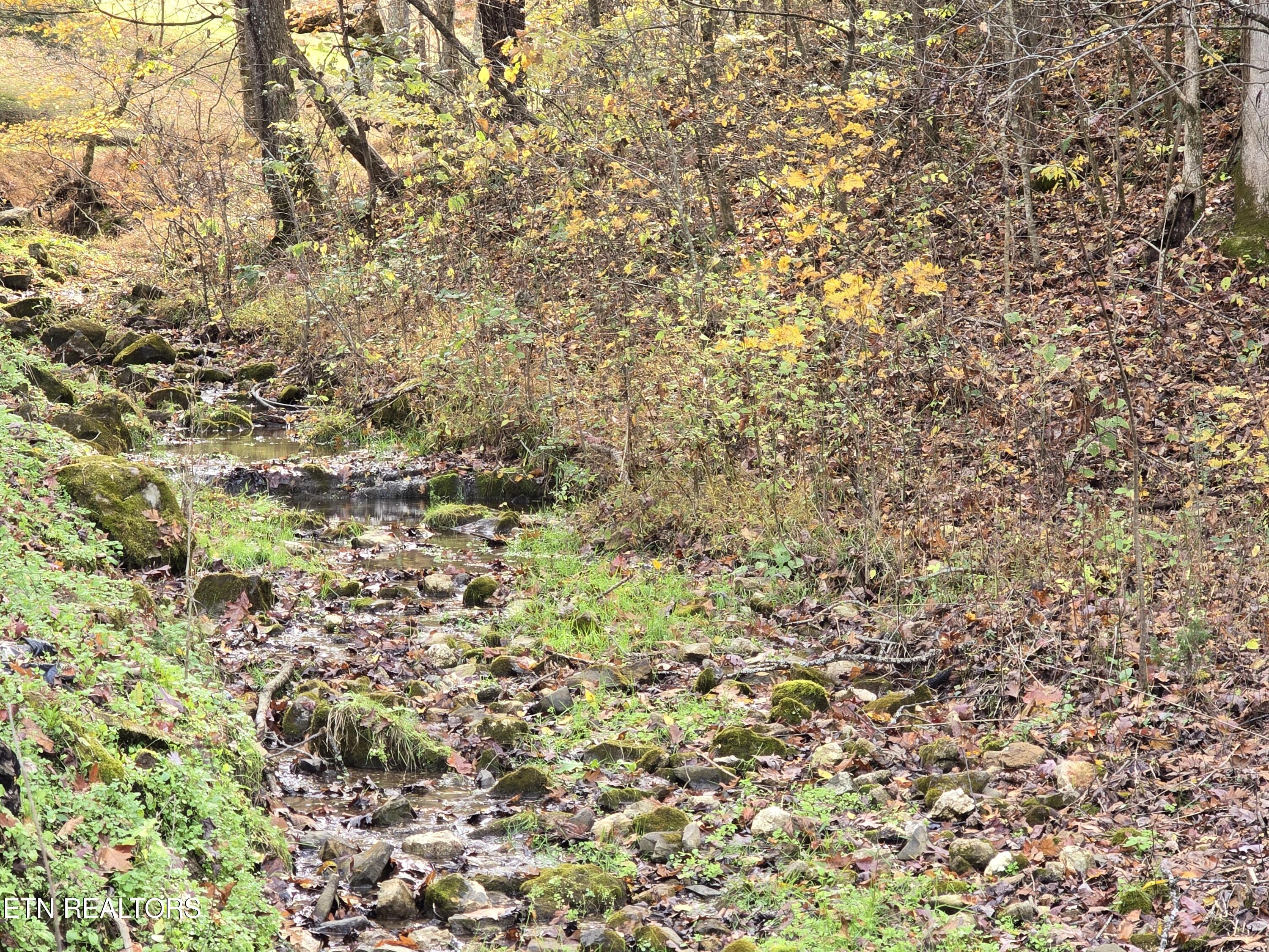 3263 Trents Chapel Road Sneedville, TN 37869 - Photo 7 of 35 20251101_150616