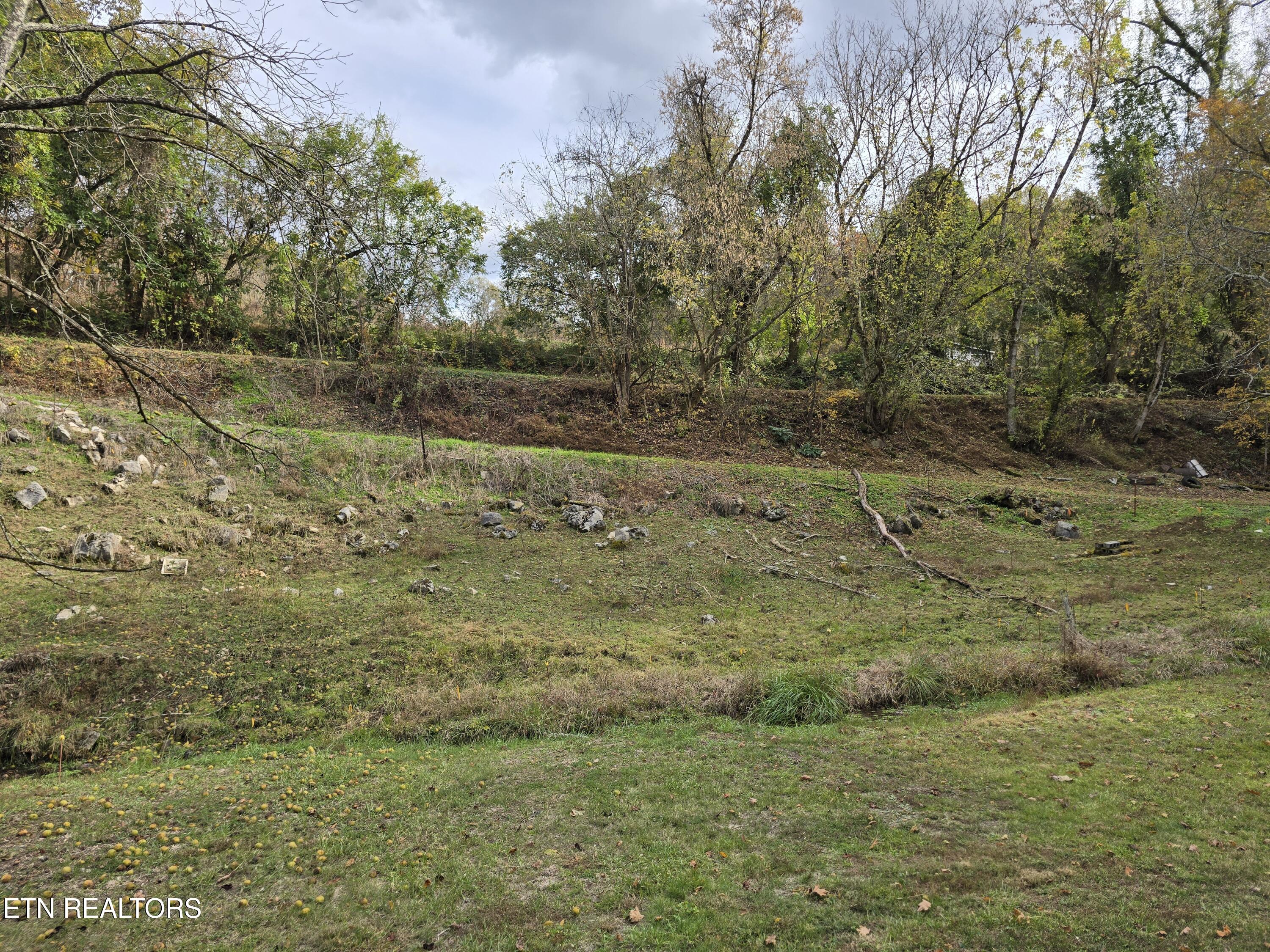 3263 Trents Chapel Road Sneedville, TN 37869 - Photo 8 of 35 20251101_151453