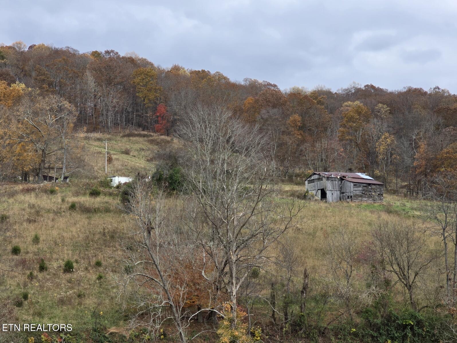 3263 Trents Chapel Road Sneedville, TN 37869 - Photo 10 of 35 20251109_130903