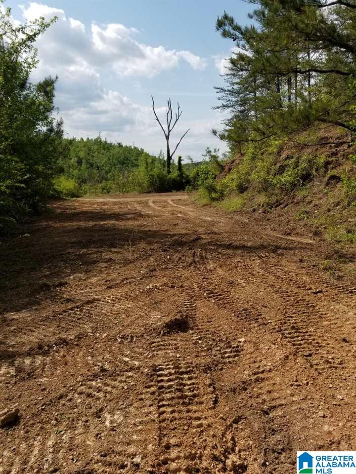 11465 Holt Peterson Road Tuscaloosa, AL 35404 - Photo 13 of 13