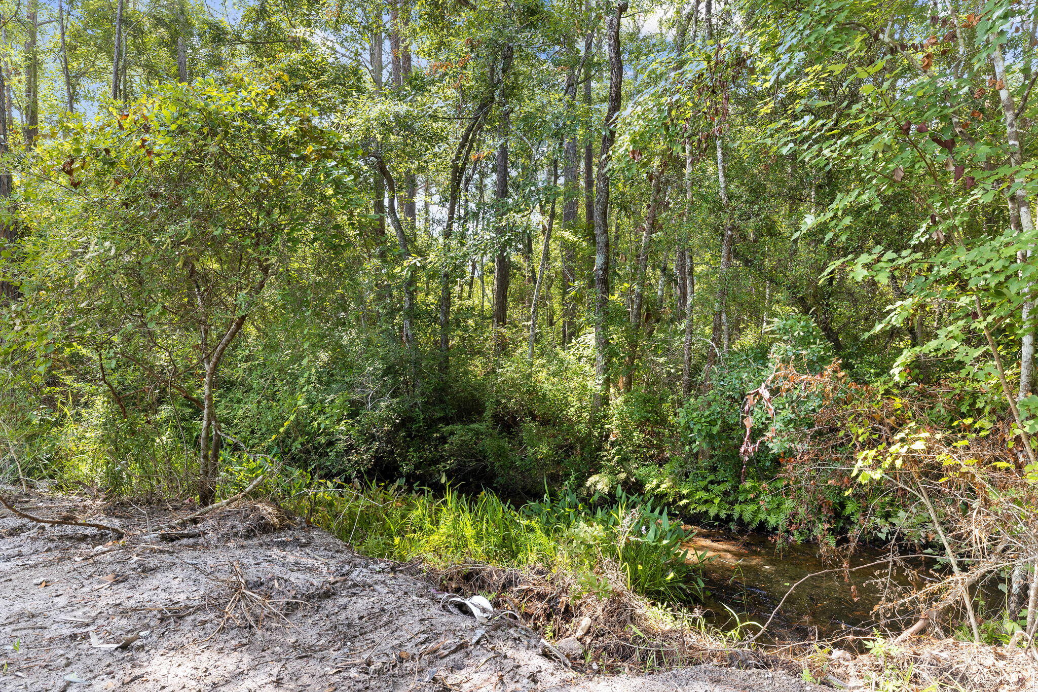 1269 Chat Holley Road Santa Rosa Beach, FL 32459 - Photo 44 of 45 Array_1269ChatHolleyRd-31