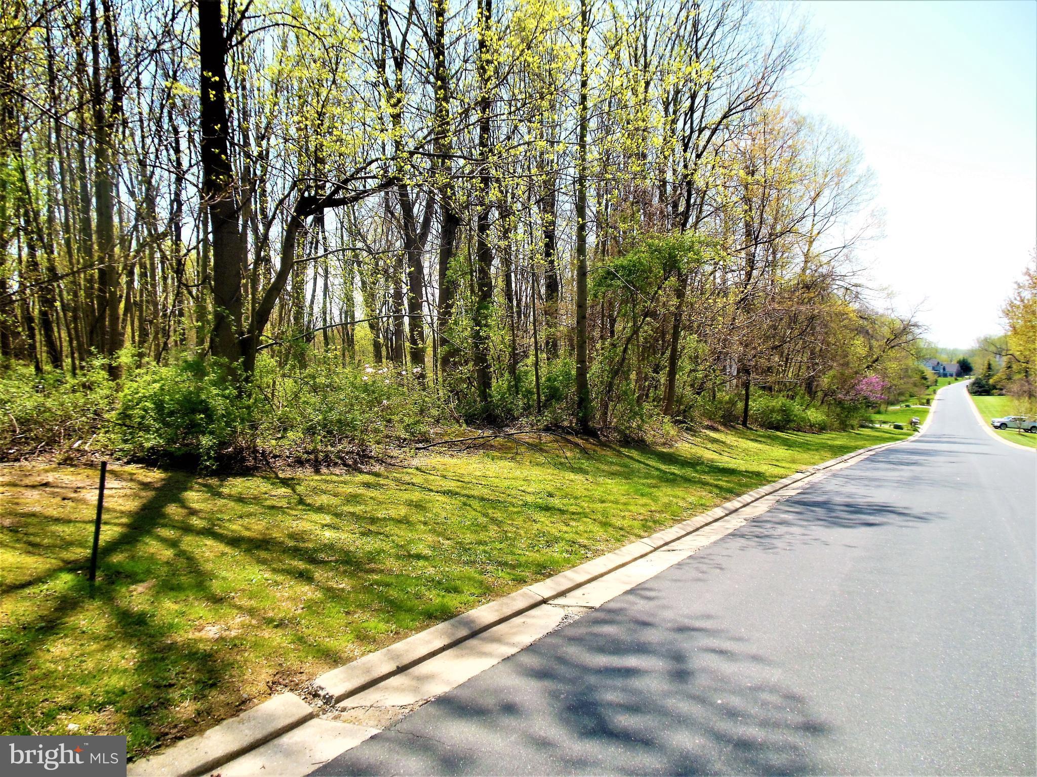 6435 Catalpa Road Fork, MD 21051 - Photo 14 of 15 a view of backyard with large trees