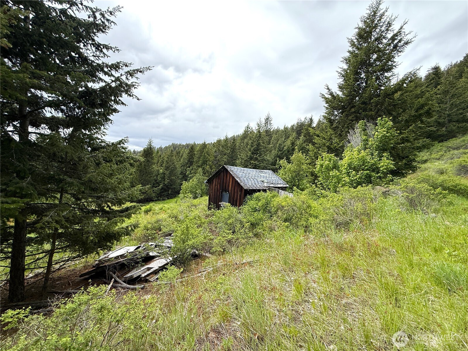 0 Pontiac Ridge Road Oroville, WA 98844 - Photo 8 of 21