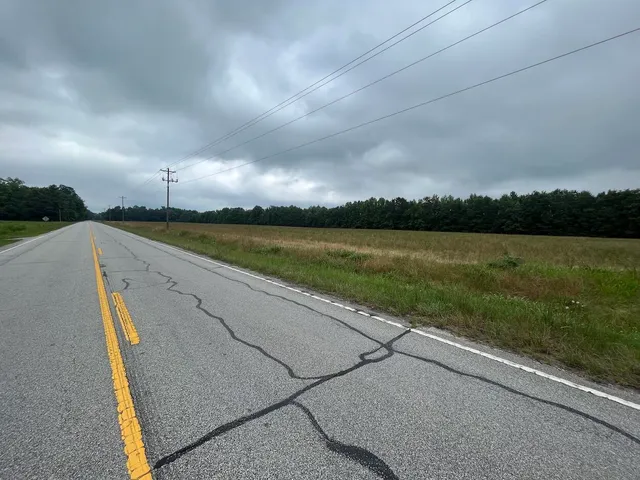 $40,000 | 0 Jefferies Highway, Walterboro, SC 29488