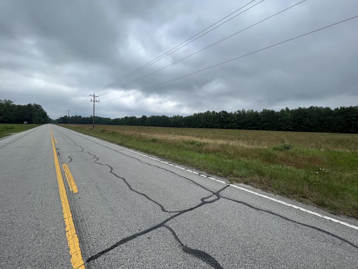 0 Jefferies Highway Walterboro, SC 29488 - Photo 1 of 2 IMG_6625 2