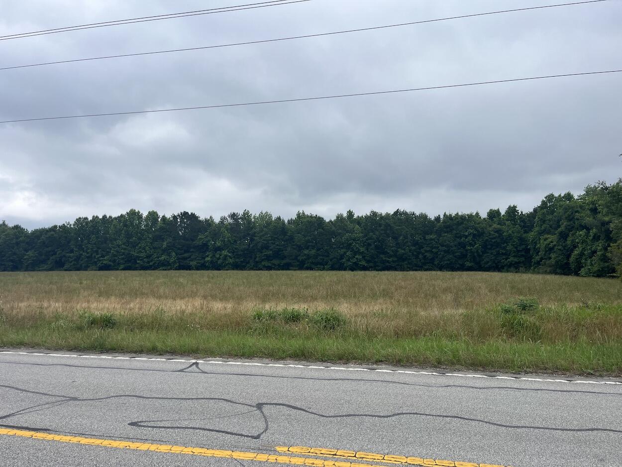 0 Jefferies Highway Walterboro, SC 29488 - Photo 2 of 2 IMG_6626